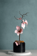 VANDA ORCHID Quick Buy Pulse Patisserie 