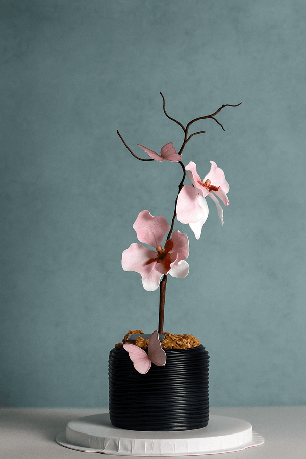 VANDA ORCHID Quick Buy Pulse Patisserie 