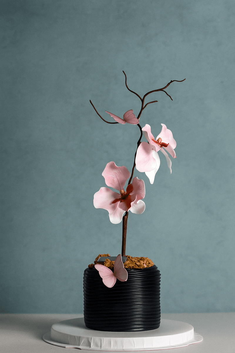 VANDA ORCHID Quick Buy Pulse Patisserie 