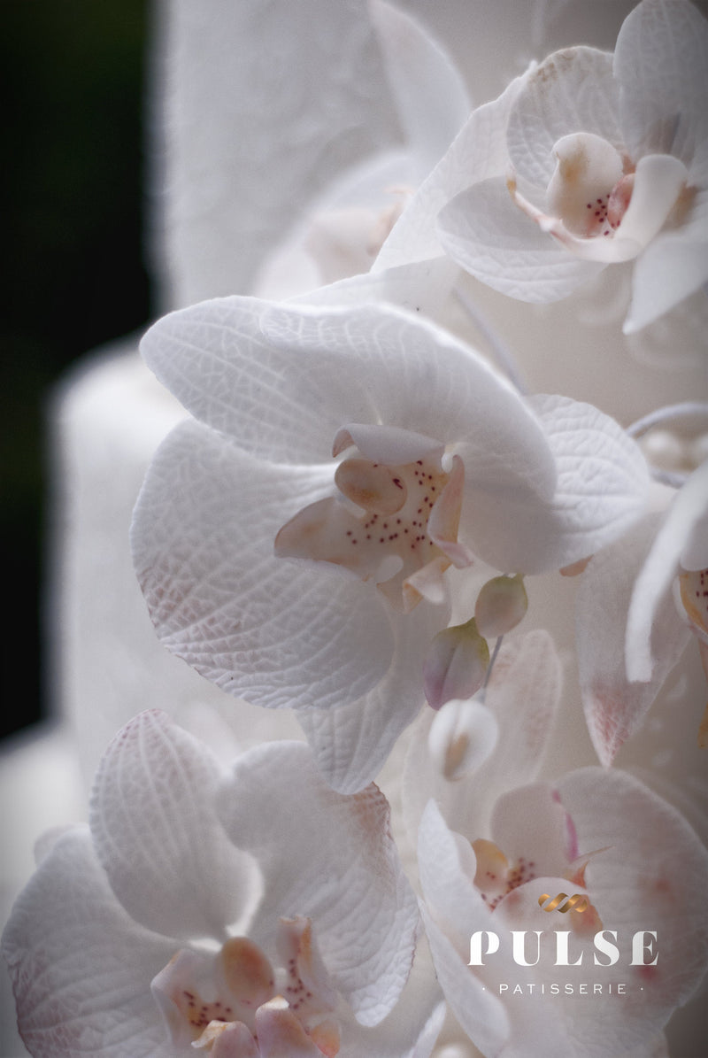 Orchid Cascade Wedding Pulse Patisserie 